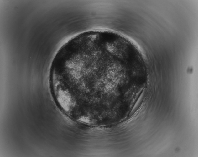 X0000102821327200809151006