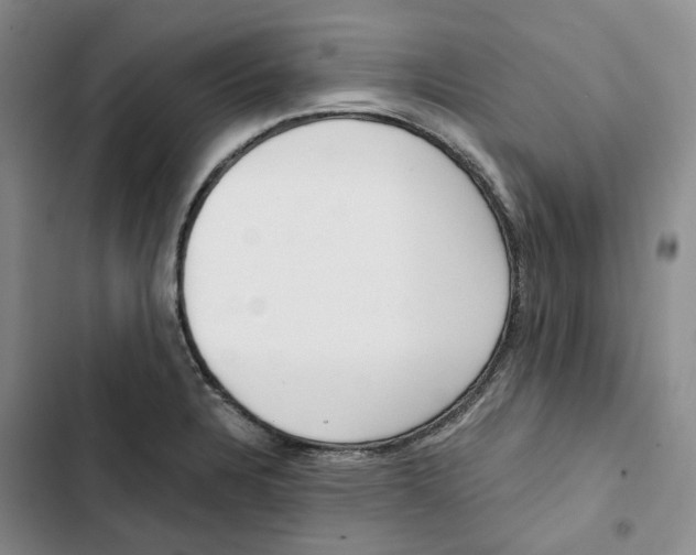 X0000102821328200809151006