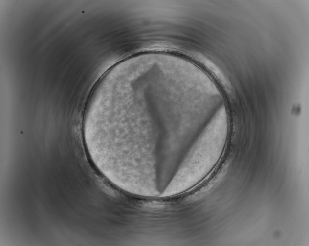 X0000102821329200809151006