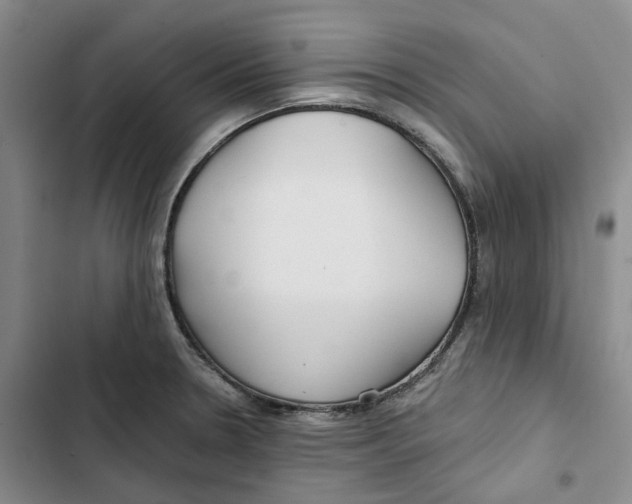 X0000102821330200809151006