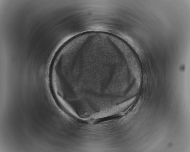 X0000102821331200809151006