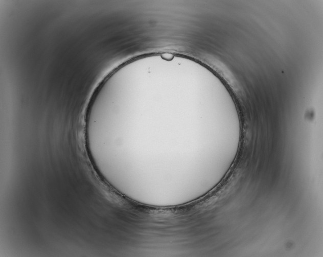 X0000102821332200809151006