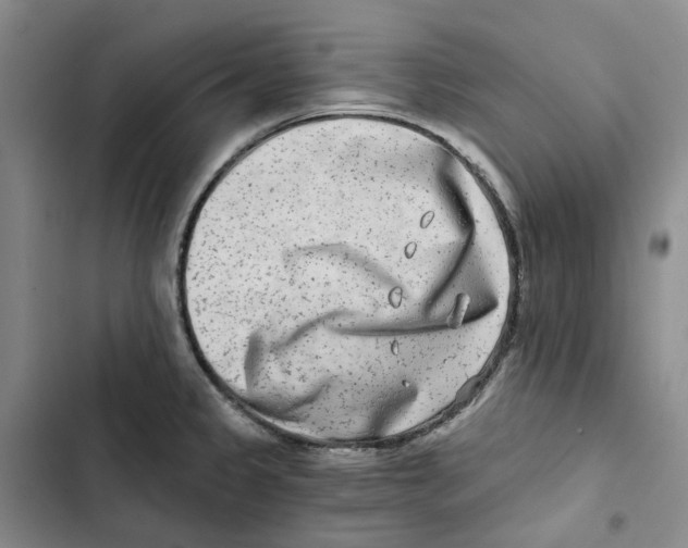 X0000102821333200809151006