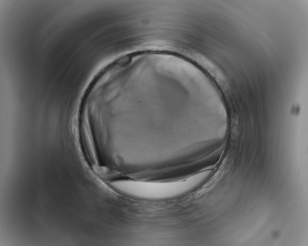 X0000102821334200809151006