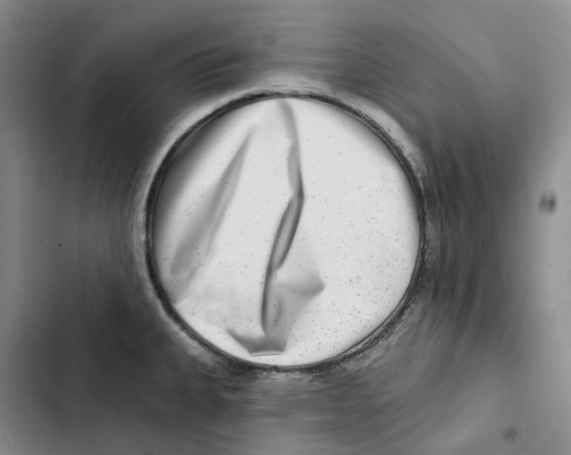 X0000102821335200809151006