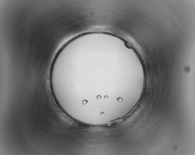 X0000102821336200809151006