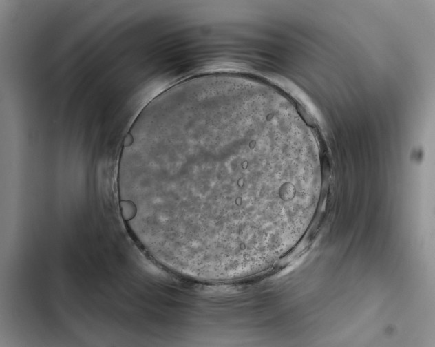 X0000102821337200809151006