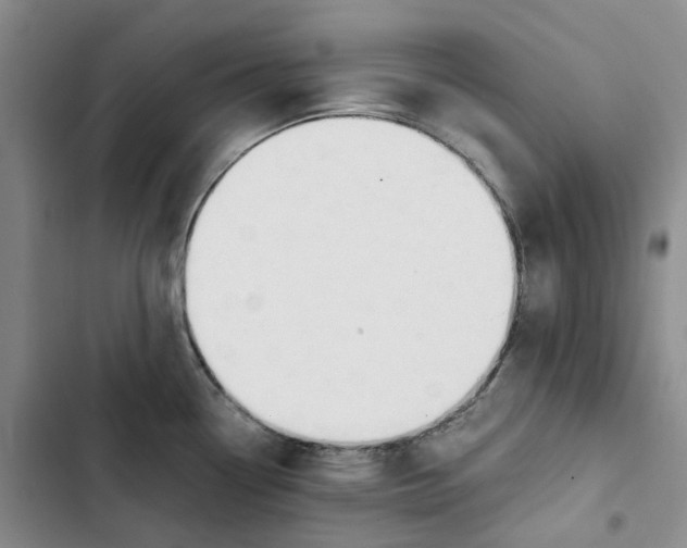 X0000102821338200809151006