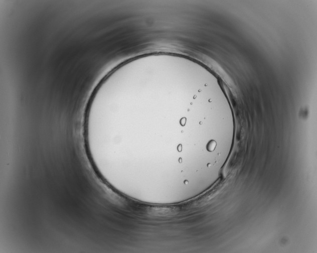 X0000102821339200809151006