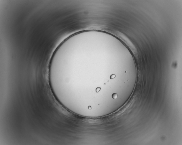 X0000102821340200809151006