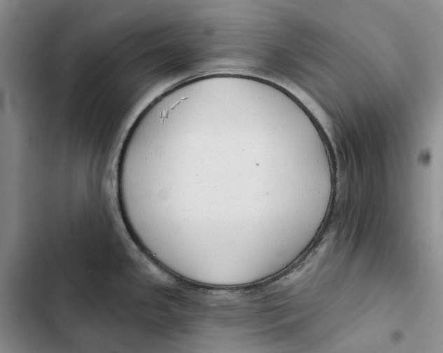 X0000102821341200809151006