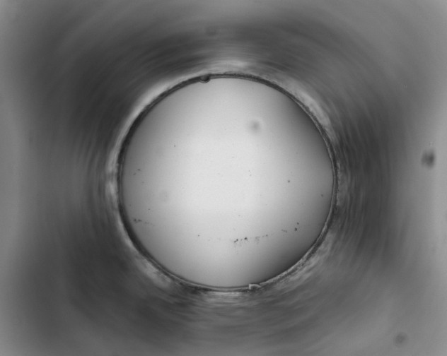 X0000102821342200809151006