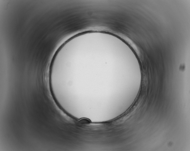 X0000102821343200809151006