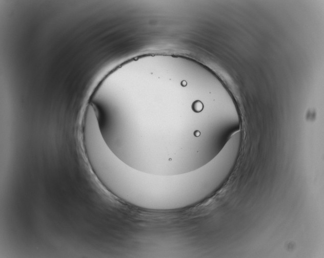 X0000102821344200809151006