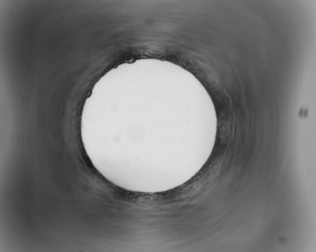 X0000102821345200809151006