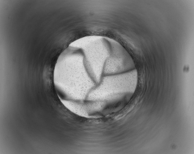 X0000102821346200809151006