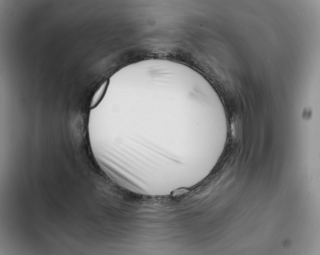 X0000102821347200809151006