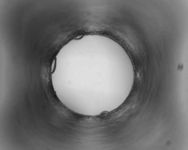 X0000102821348200809151006