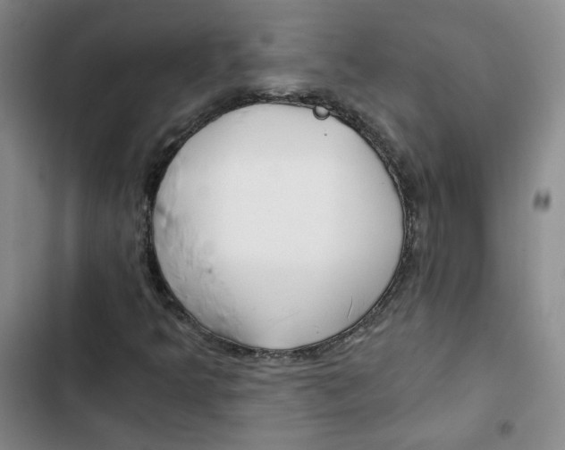 X0000102821349200809151006