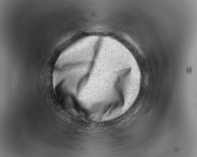 X0000102821350200809151006