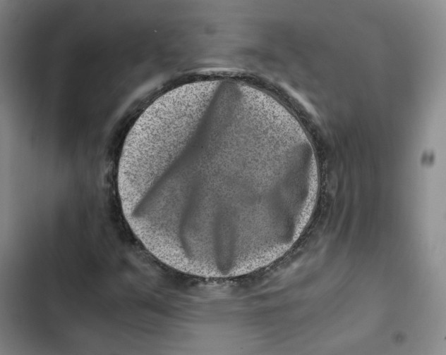 X0000102821351200809151006