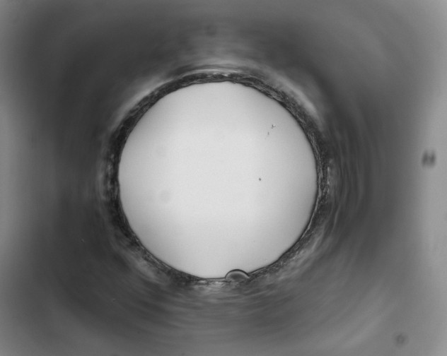 X0000102821352200809151006