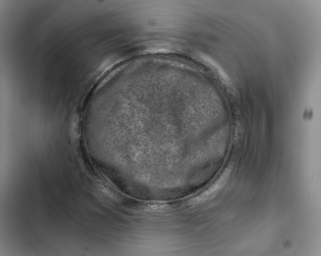X0000102821353200809151006