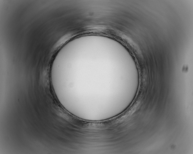 X0000102821354200809151006