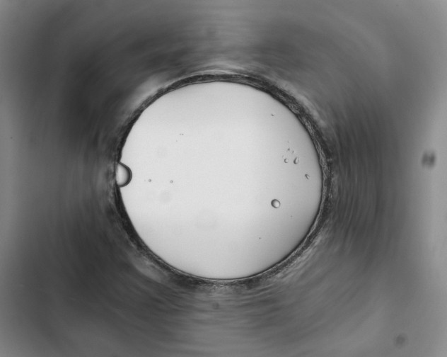 X0000102821355200809151006