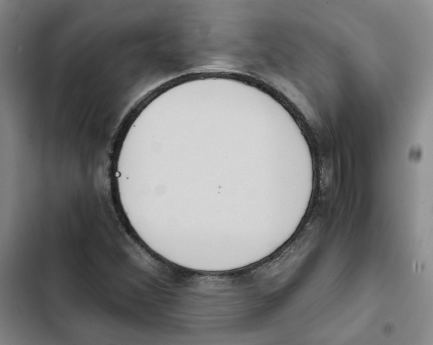 X0000102821356200809151005