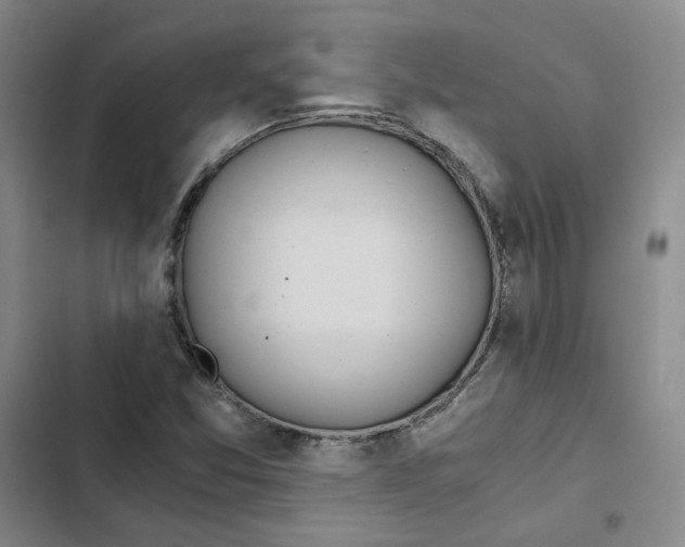 X0000102821357200809151005