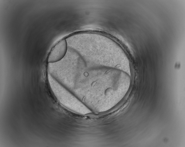 X0000102821358200809151005