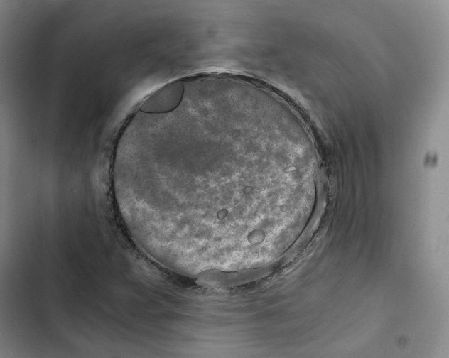 X0000102821359200809151005