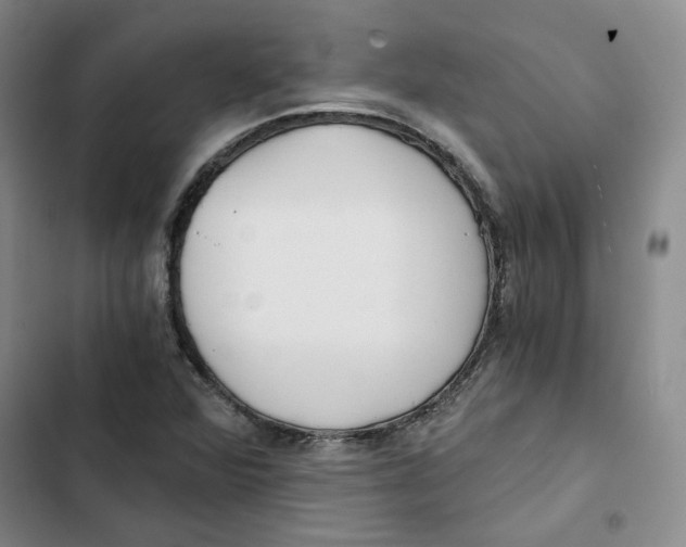 X0000102821360200809151005