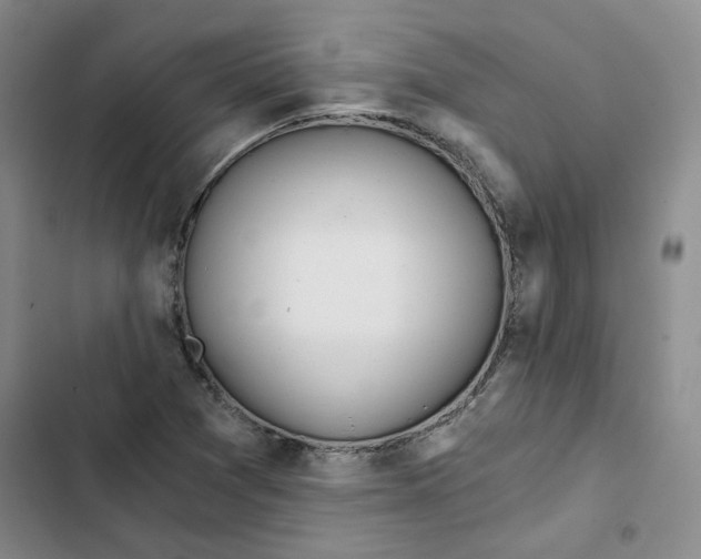 X0000102821361200809151005