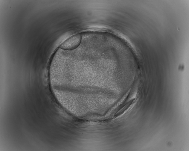 X0000102821362200809151005