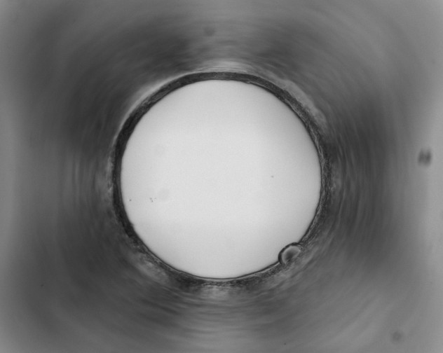 X0000102821364200809151005