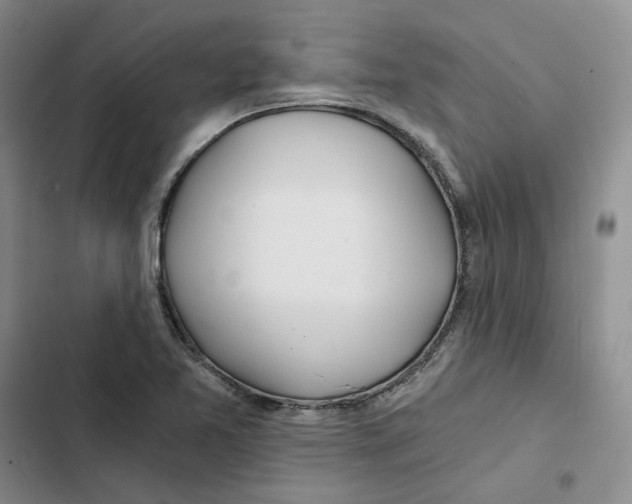 X0000102821365200809151005