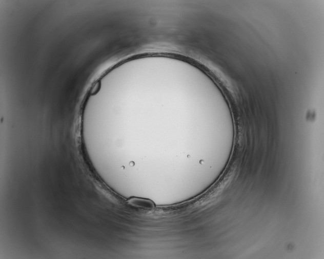 X0000102821366200809151005