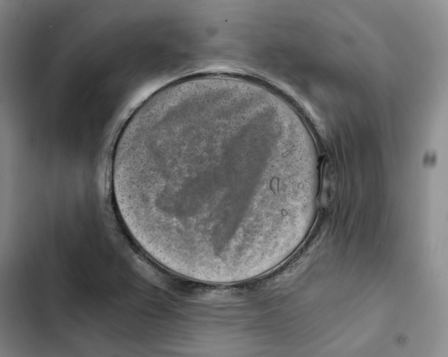 X0000102821367200809151005