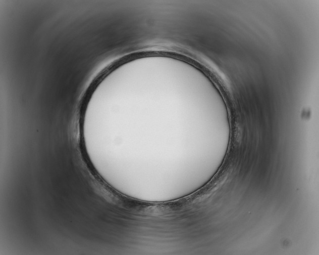 X0000102821368200809151005