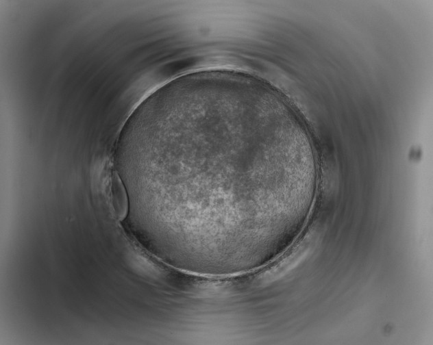 X0000102821369200809151005