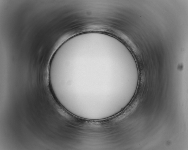 X0000102821370200809151005