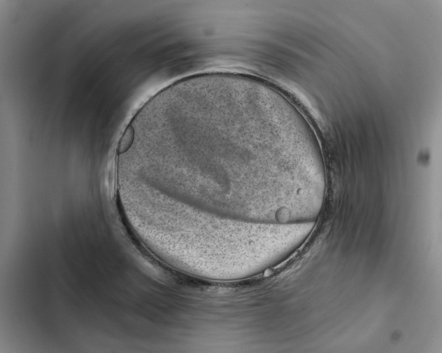 X0000102821371200809151005