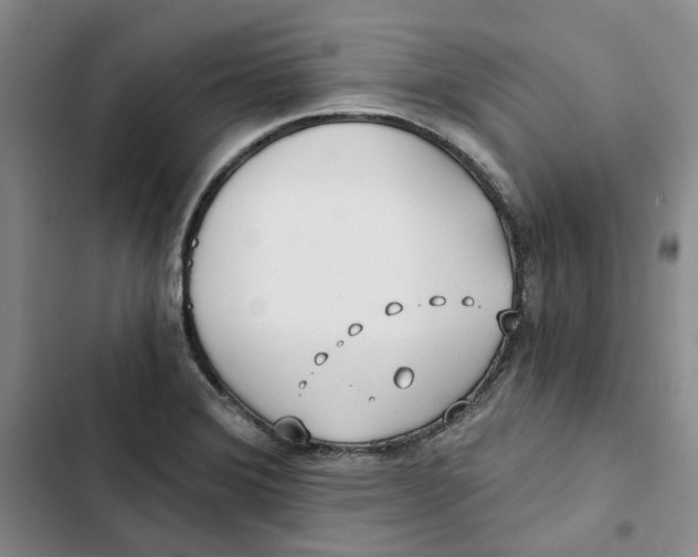 X0000102821372200809151005