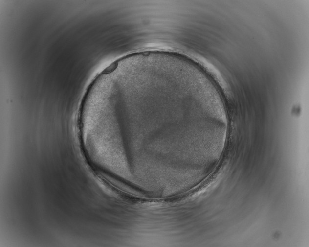 X0000102821373200809151005