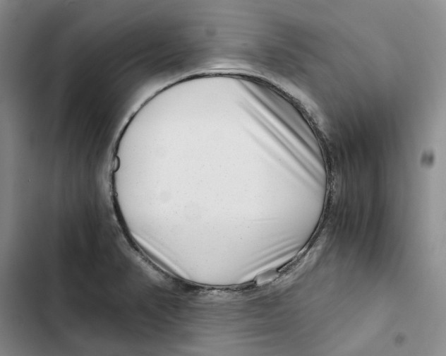 X0000102821374200809151005