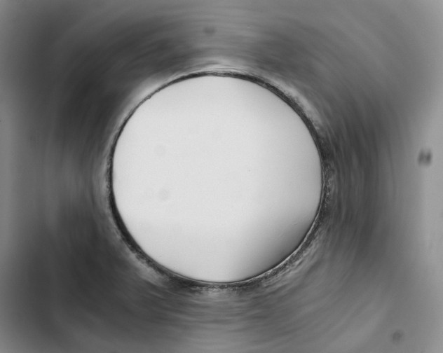 X0000102821375200809151005