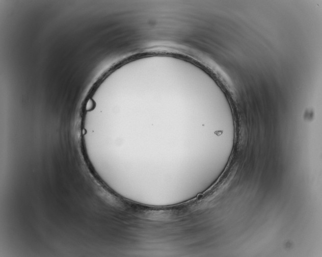 X0000102821376200809151005