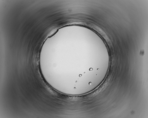 X0000102821377200809151005